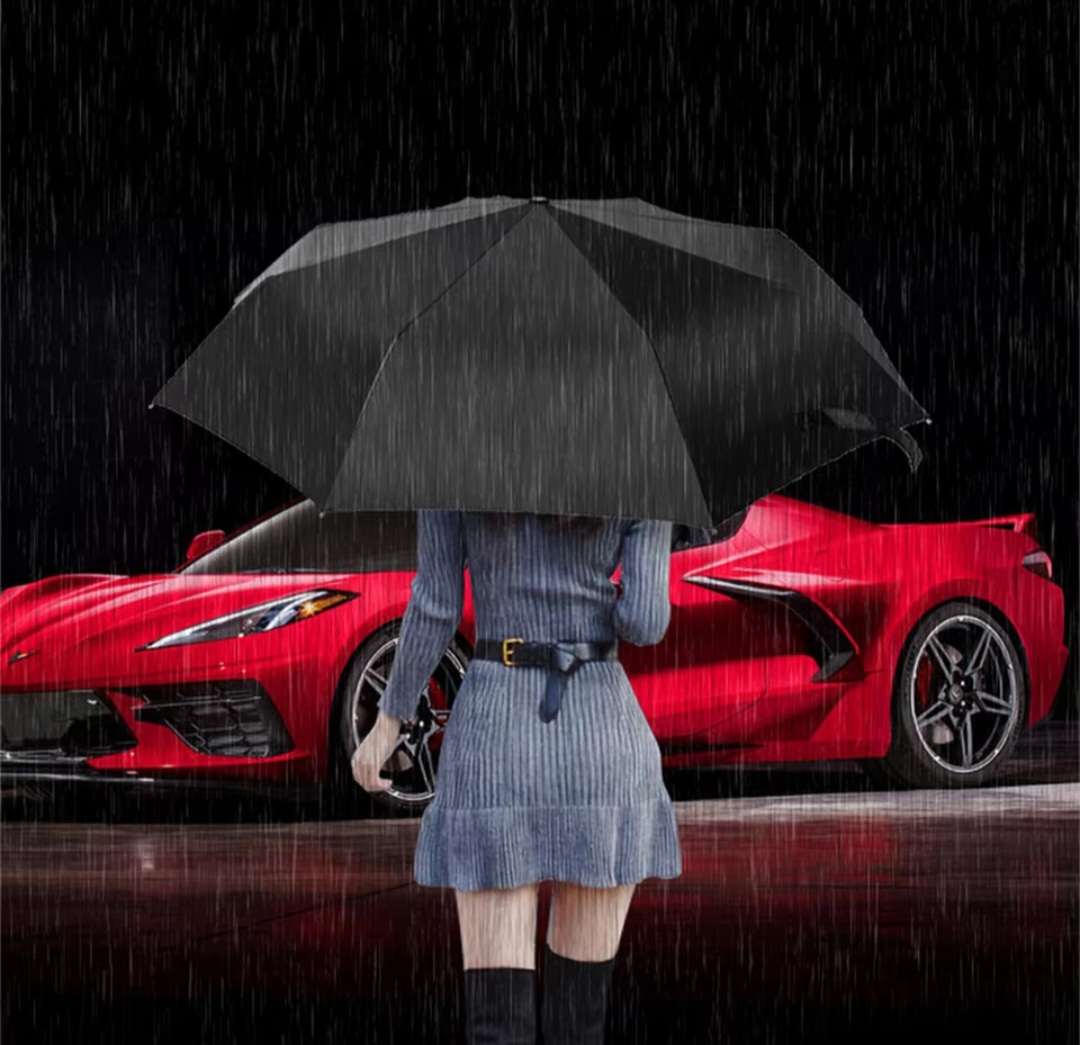F120250213234355.jpg