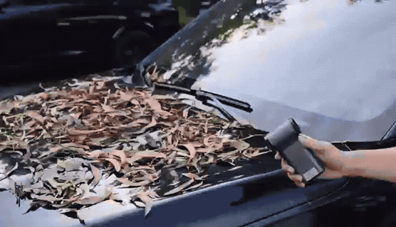 F120260227184522.gif